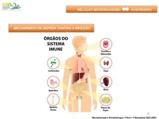 MECANISMOS DE DEFESA CONTRA A INFEÇÃO
RELAÇÃO MICRORGANISMO HOSPEDEIRO
10
Microbiologia e Parasitologia | 1ºAno | 1ºSemestre| 2022-2023
 