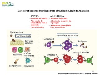 Características entre Imunidade Inata e Imunidade Adquirida/Adaptativa
12
Microbiologia e Parasitologia | 1ºAno | 1ºSemestre| 2022-2023
 