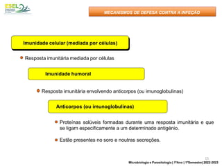 Imunidade celular (mediada por células)
Resposta imunitária mediada por células
Imunidade humoral
Resposta imunitária envolvendo anticorpos (ou imunoglobulinas)
Anticorpos (ou imunoglobulinas)
Proteínas solúveis formadas durante uma resposta imunitária e que
se ligam especificamente a um determinado antigénio.
Estão presentes no soro e noutras secreções.
MECANISMOS DE DEFESA CONTRA A INFEÇÃO
15
Microbiologia e Parasitologia | 1ºAno | 1ºSemestre| 2022-2023
 