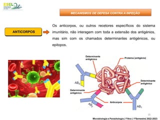Os anticorpos, ou outros recetores específicos do sistema
imunitário, não interagem com toda a extensão dos antigénios,
mas sim com os chamados determinantes antigénicos, ou
epitopos.
Proteína (antigénio)
Determinante
antigénico
Determinante
antigénico
Determinante
antigénico
Anticorpos
Proteína (antigénio)
Determinante
antigénico
Determinante
antigénico
Determinante
antigénico
Anticorpos
ANTICORPOS
MECANISMOS DE DEFESA CONTRA A INFEÇÃO
16
Microbiologia e Parasitologia | 1ºAno | 1ºSemestre| 2022-2023
 