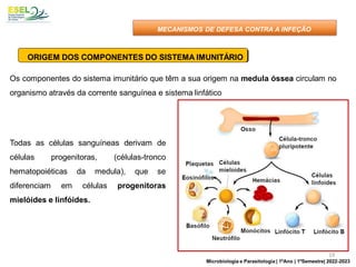 Todas as células sanguíneas derivam de
células progenitoras, (células-tronco
hematopoiéticas da medula), que se
diferenciam em células progenitoras
mielóides e linfóides.
ORIGEM DOS COMPONENTES DO SISTEMA IMUNITÁRIO
Os componentes do sistema imunitário que têm a sua origem na medula óssea circulam no
organismo através da corrente sanguínea e sistema linfático
MECANISMOS DE DEFESA CONTRA A INFEÇÃO
19
Microbiologia e Parasitologia | 1ºAno | 1ºSemestre| 2022-2023
 