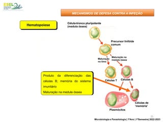 Célula-tronco pluripotente
(medula óssea)
Precursor linfóide
comum
Precursor
mielóide
Maturação
no timo
Maturação na
medula óssea
Células B
Células T
Células de
‘memória’
Plasmócitos
Plaquetas
Monócitos
Macrófagos
Mastócitos
Leucócitos polimorfonucleares
(neutrófilos, basófilos e eosinófilos)
Célula-tronco pluripotente
(medula óssea)
Precursor linfóide
comum
Precursor
mielóide
Maturação
no timo
Maturação na
medula óssea
Células B
Células T
Células de
‘memória’
Plasmócitos
Plaquetas
Monócitos
Macrófagos
Mastócitos
Leucócitos polimorfonucleares
(neutrófilos, basófilos e eosinófilos)
Hematopoiese
Produto da diferenciação das
células B; memória do sistema
imunitário
Maturação na medula óssea
MECANISMOS DE DEFESA CONTRA A INFEÇÃO
21
Microbiologia e Parasitologia | 1ºAno | 1ºSemestre| 2022-2023
 