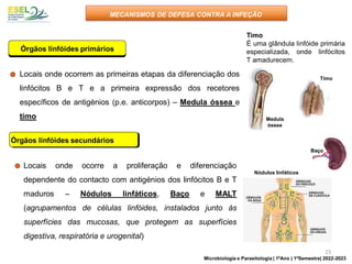 Órgãos linfóides primários
Locais onde ocorrem as primeiras etapas da diferenciação dos
linfócitos B e T e a primeira expressão dos recetores
específicos de antigénios (p.e. anticorpos) – Medula óssea e
timo
Órgãos linfóides secundários
Locais onde ocorre a proliferação e diferenciação
dependente do contacto com antigénios dos linfócitos B e T
maduros – Nódulos linfáticos, Baço e MALT
(agrupamentos de células linfóides, instalados junto às
superfícies das mucosas, que protegem as superfícies
digestiva, respiratória e urogenital)
Timo
Medula
óssea
Baço
Nódulos linfáticos
MECANISMOS DE DEFESA CONTRA A INFEÇÃO
Timo
É uma glândula linfóide primária
especializada, onde linfócitos
T amadurecem.
23
Microbiologia e Parasitologia | 1ºAno | 1ºSemestre| 2022-2023
 