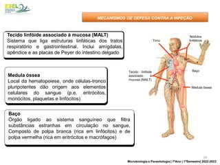 Timo
Tecido linfóide
associado à
mucosa (MALT)
Nódulos
linfáticos
Baço
Medula óssea
Tecido linfóide associado à mucosa (MALT)
Sistema que liga estruturas linfáticas dos tratos
respiratório e gastrointestinal. Inclui amígdalas,
apêndice e as placas de Peyer do intestino delgado
Medula óssea
Local da hematopoiese, onde células-tronco
pluripotentes dão origem aos elementos
celulares do sangue (p.e. eritrócitos,
monócitos, plaquetas e linfócitos)
Baço
Órgão ligado ao sistema sanguíneo que filtra
substâncias estranhas em circulação no sangue.
Composto de polpa branca (rica em linfócitos) e de
polpa vermelha (rica em eritrócitos e macrófagos)
MECANISMOS DE DEFESA CONTRA A INFEÇÃO
24
Microbiologia e Parasitologia | 1ºAno | 1ºSemestre| 2022-2023
 