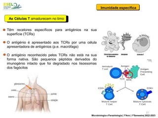As Células T amadurecem no timo
Têm recetores específicos para antigénios na sua
superfície (TCRs)
O antigénio é apresentado aos TCRs por uma célula
apresentadora de antigénios (p.e. macrófago)
O antigénio reconhecido pelos TCRs não está na sua
forma nativa. São pequenos péptidos derivados do
imunogénio intacto que foi degradado nos lisossomas
dos fagócitos
Imunidade específica
27
Microbiologia e Parasitologia | 1ºAno | 1ºSemestre| 2022-2023
 