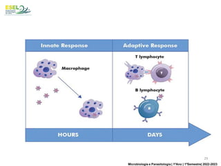 29
Microbiologia e Parasitologia | 1ºAno | 1ºSemestre| 2022-2023
 