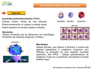 Leucócitos polimorfonucleares (PMNs)
(Células móveis; Tempo de vida reduzido;
Predominantemente no sangue e medula óssea;
Podem aparecer em tecidos sujeitos a infeção)
Macrófagos
Células grandes, que ingerem e eliminam a maioria dos
agentes patogénicos e antigénios; Cooperam com
linfócitos na produção de uma resposta imunitária
específica; São APCs - Células apresentadoras de
antigénios; Fixam-se a superfícies; Abundantes no tecido
linfóide e baço
Monócitos
Células circulantes que se diferenciam em macrófagos;
Presentes nos sistemas sanguíneo e linfático
Fagócitos
MECANISMOS DE DEFESA CONTRA A INFEÇÃO
30
Microbiologia e Parasitologia | 1ºAno | 1ºSemestre| 2022-2023
 