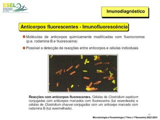 Imunodiagnóstico
36
Microbiologia e Parasitologia | 1ºAno | 1ºSemestre| 2022-2023
 