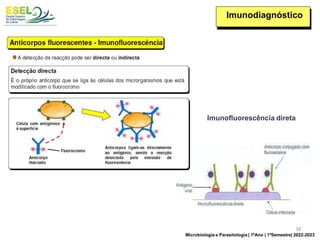 Imunodiagnóstico
Imunofluorescência direta
Microbiologia e Parasitologia | 1ºAno | 1ºSemestre| 2022-2023
38
 