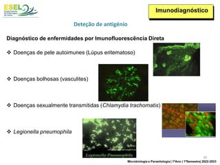 Imunodiagnóstico
❖ Doenças de pele autoimunes (Lúpus eritematoso)
❖ Doenças bolhosas (vasculites)
❖ Doenças sexualmente transmitidas (Chlamydia trachomatis)
❖ Legionella pneumophila
Diagnóstico de enfermidades por Imunofluorescência Direta
Deteção de antigénio
39
Microbiologia e Parasitologia | 1ºAno | 1ºSemestre| 2022-2023
 