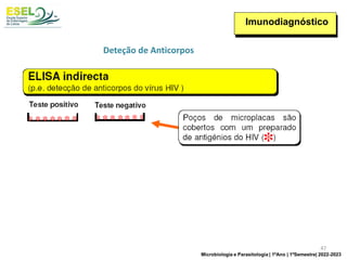 Imunodiagnóstico
Deteção de Anticorpos
47
Microbiologia e Parasitologia | 1ºAno | 1ºSemestre| 2022-2023
 