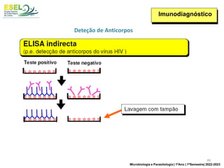 Imunodiagnóstico
Deteção de Anticorpos
49
Microbiologia e Parasitologia | 1ºAno | 1ºSemestre| 2022-2023
 