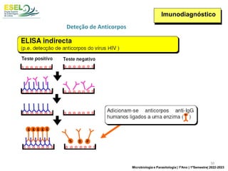 Imunodiagnóstico
Deteção de Anticorpos
50
Microbiologia e Parasitologia | 1ºAno | 1ºSemestre| 2022-2023
 