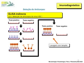 Imunodiagnóstico
Deteção de Anticorpos
51
Microbiologia e Parasitologia | 1ºAno | 1ºSemestre| 2022-2023
 