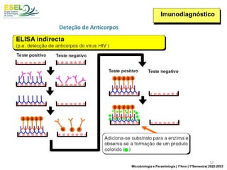 Imunodiagnóstico
Deteção de Anticorpos
52
Microbiologia e Parasitologia | 1ºAno | 1ºSemestre| 2022-2023
 