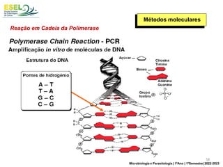 Reação em Cadeia da Polimerase
Métodos moleculares
58
Microbiologia e Parasitologia | 1ºAno | 1ºSemestre| 2022-2023
 