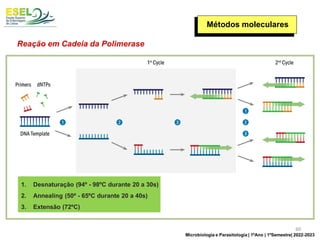Métodos moleculares
Reação em Cadeia da Polimerase
1. Desnaturação (94º - 98ºC durante 20 a 30s)
2. Annealing (50º - 65ºC durante 20 a 40s)
3. Extensão (72ºC)
1 2 3
1
2
3
1
2
3
60
Microbiologia e Parasitologia | 1ºAno | 1ºSemestre| 2022-2023
 