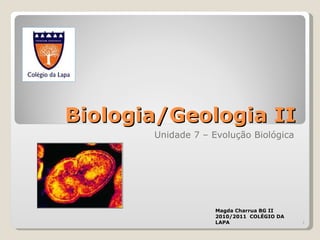 Biologia/Geologia II Unidade 7 – Evolução Biológica Magda Charrua BG II 2010/2011  COLÉGIO DA LAPA 