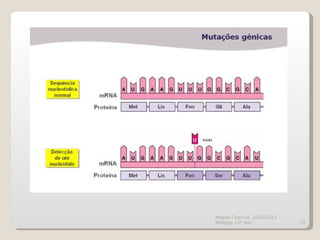 Magda Charrua  2010/2011 Biologia 12º ano  