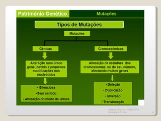 Magda Charrua  2010/2011 Biologia 12º ano  