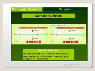 Magda Charrua  2010/2011 Biologia 12º ano  