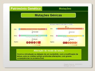 Magda Charrua  2010/2011 Biologia 12º ano  