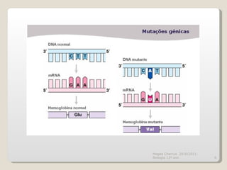 Magda Charrua  2010/2011 Biologia 12º ano  