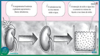 Fonte:
WILKINS
2003
FARMÁCIA
 