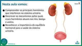 Nesta aula vamos:
● Compreender os principais hormônios
que interferem no sistema urinário.
● Descrever os mecanismos pelos quais
esses hormônios atuam nos rins, bexiga
e uretra.
● Reconhecer a importância do equilíbrio
hormonal para a saúde do sistema
urinário.
 