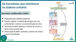 Os hormônios que interferem
no sistema urinário:
● Produzido pela hipófise posterior
● Função: regular a reabsorção de água nos rins,
controlando o volume e a concentração da urina
● Aumento do ADH: diminui o volume de urina e a
torna mais concentrada
● Diminuição do ADH: aumenta o volume de urina e
a torna mais diluída
Hormônio Antidiurético (ADH)
 