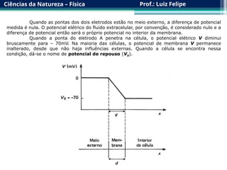 Ciências da Natureza – Física Prof.: Luiz Felipe
Quando as pontas dos dois eletrodos estão no meio externo, a diferença de potencial
medida é nula. O potencial elétrico do fluido extracelular, por convenção, é considerado nulo e a
diferença de potencial então será o próprio potencial no interior da membrana.
Quando a ponta do eletrodo A penetra na célula, o potencial elétrico V diminui
bruscamente para – 70mV. Na maioria das células, o potencial de membrana V permanece
inalterado, desde que não haja influências externas. Quando a célula se encontra nessa
condição, dá-se o nome de potencial de repouso (V0).
 