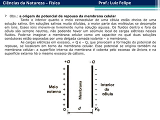 Ciências da Natureza – Física Prof.: Luiz Felipe
 Obs.: a origem do potencial de repouso da membrana celular
Tanto o interior quanto o meio extracelular de uma célula estão cheios de uma
solução salina. Em soluções salinas muito diluídas, a maior parte das moléculas se decompõe
em íons. Esses íons movem-se livremente numa solução aquosa. Os fluidos dentro e fora da
célula são sempre neutros, não podendo haver um acúmulo local de cargas elétricas nesses
fluidos. Pode-se imaginar a membrana celular como um capacitor no qual duas soluções
condutoras estão separadas por uma delgada camada isolante – a membrana.
As cargas elétricas em excesso, + Q e – Q, que provocam a formação do potencial de
repouso, se localizam em torno da membrana celular. Esse potencial se origina também na
membrana celular: a superfície interna da membrana é coberta pelo excesso de ânions e na
superfície externa há o mesmo excesso de cátions.
 