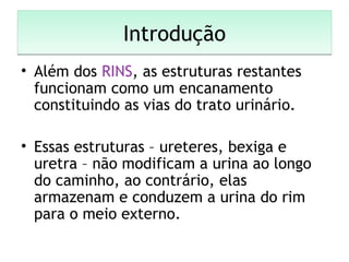IntroduçãoIntrodução
• Além dos RINS, as estruturas restantes
funcionam como um encanamento
constituindo as vias do trato urinário.
• Essas estruturas – ureteres, bexiga e
uretra – não modificam a urina ao longo
do caminho, ao contrário, elas
armazenam e conduzem a urina do rim
para o meio externo.
 