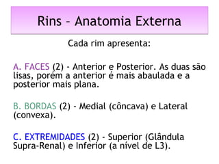 Rins – Anatomia ExternaRins – Anatomia Externa
Cada rim apresenta:
A. FACES (2) - Anterior e Posterior. As duas são
lisas, porém a anterior é mais abaulada e a
posterior mais plana.
 
B. BORDAS (2) - Medial (côncava) e Lateral
(convexa).
C. EXTREMIDADES (2) - Superior (Glândula
Supra-Renal) e Inferior (a nível de L3).
 
