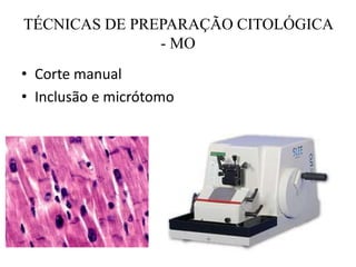 TÉCNICAS DE PREPARAÇÃO CITOLÓGICA
- MO
• Corte manual
• Inclusão e micrótomo
 