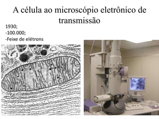 A célula ao microscópio eletrônico de
transmissão
1930;
-100.000;
-Feixe de elétrons
 