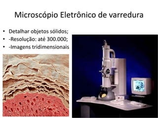 Microscópio Eletrônico de varredura
• Detalhar objetos sólidos;
• -Resolução: até 300.000;
• -Imagens tridimensionais
 