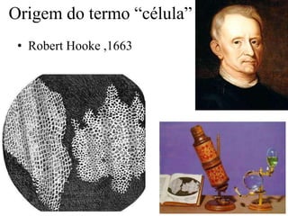 Origem do termo “célula”
• Robert Hooke ,1663
 