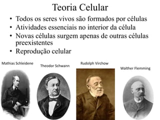 Teoria Celular
• Todos os seres vivos são formados por células
• Atividades essenciais no interior da célula
• Novas células surgem apenas de outras células
preexistentes
• Reprodução celular
Mathias Schleidene
Theodor Schwann
Rudolph Virchow
Walther Flemming
 
