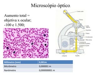 Microscópio óptico.
Aumento total =
objetiva x ocular;
-100 e 1.500;
Milímetro (mm) 0,001m
Micrômetro 0,000001 m
Nanômetro 0,000000001 m
 