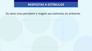 RESPOSTAS A ESTÍMULOS
Os seres vivos percebem e reagem aos estímulos do ambiente.
 