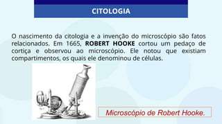 CITOLOGIA
O nascimento da citologia e a invenção do microscópio são fatos
relacionados. Em 1665, ROBERT HOOKE cortou um pedaço de
cortiça e observou ao microscópio. Ele notou que existiam
compartimentos, os quais ele denominou de células.
Microscópio de Robert Hooke.
 