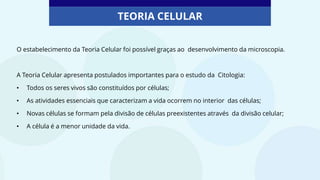 TEORIA CELULAR
O estabelecimento da Teoria Celular foi possível graças ao desenvolvimento da microscopia.
A Teoria Celular apresenta postulados importantes para o estudo da Citologia:
• Todos os seres vivos são constituídos por células;
• As atividades essenciais que caracterizam a vida ocorrem no interior das células;
• Novas células se formam pela divisão de células preexistentes através da divisão celular;
• A célula é a menor unidade da vida.
 