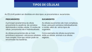 TIPOS DE CÉLULAS
As CÉLULAS podem ser divididas em dois tipos: as procariontes e eucariontes.
PROCARIONTES
A principal característica da célula
procarionte é a ausência de carioteca
delimitando o núcleo celular. O núcleo da
célula procarionte não é individualizado.
As células procariontes são as mais
primitivas e possuem estruturas celulares
mais simples. Esse tipo celular pode ser
encontrado nas bactérias.
EUCARIONTES
As células eucariontes são mais complexas.
Essas possuem carioteca individualizando
o núcleo, além de vários tipos de
organelas.
Como exemplos de células eucariontes
estão as células animais e as células
vegetais.
 