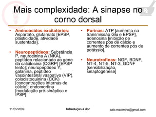 Mais complexidade: A sinapse no corno dorsal Aminoácidos excitatórios:  Aspartato, glutamato [EPSP, plasticidade, atividade sustentada]. Neuropeptídeos:  Substância P, neurocinina A (NKA), peptídeo relacionado ao gene da calcitocina (CGRP) [EPSP lento]; neuropeptídeo Y, galanina, peptídeo vasointestinal vasoativo (VIP), colocistoquinina (CCK) [concentrações internas de cálcio]; endomorfina [modulação pré-sináptica e IPSP] Purinas:  ATP [aumento na transmissão Glu e EPSP], adenosina [inibição de correntes pós de cálcio e aumento de correntes pós de potássio]. Neurotrofinas:  NGF, BDNF, NT-4, NT-5, NT-3, GDNF [sensibilização, sinaptogênese] 
