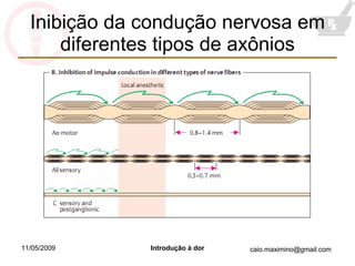 Inibição da condução nervosa em diferentes tipos de axônios 