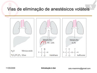 Vias de eliminação de anestésicos voláteis 