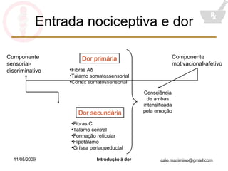Entrada nociceptiva e dor Dor primária Dor secundária Fibras A δ Tálamo somatossensorial Córtex somatossensorial Fibras C Tálamo central Formação reticular Hipotálamo Grísea periaqueductal Consciência de ambas intensificada pela emoção Componente motivacional-afetivo Componente sensorial-discriminativo 