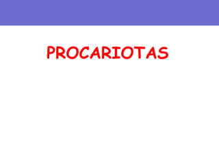PROCARIOTAS
 