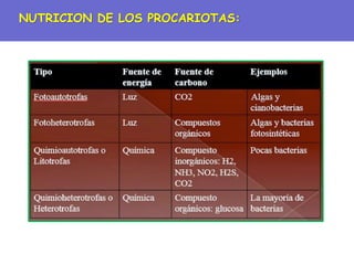 NUTRICION DE LOS PROCARIOTAS:
 